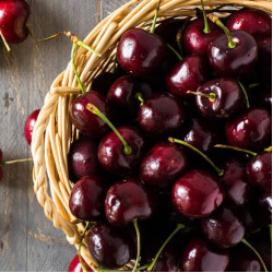 Cherry Canna Syrup 1000mg